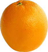 دستگاه سورتینگ مرکبات(پرتقال)
